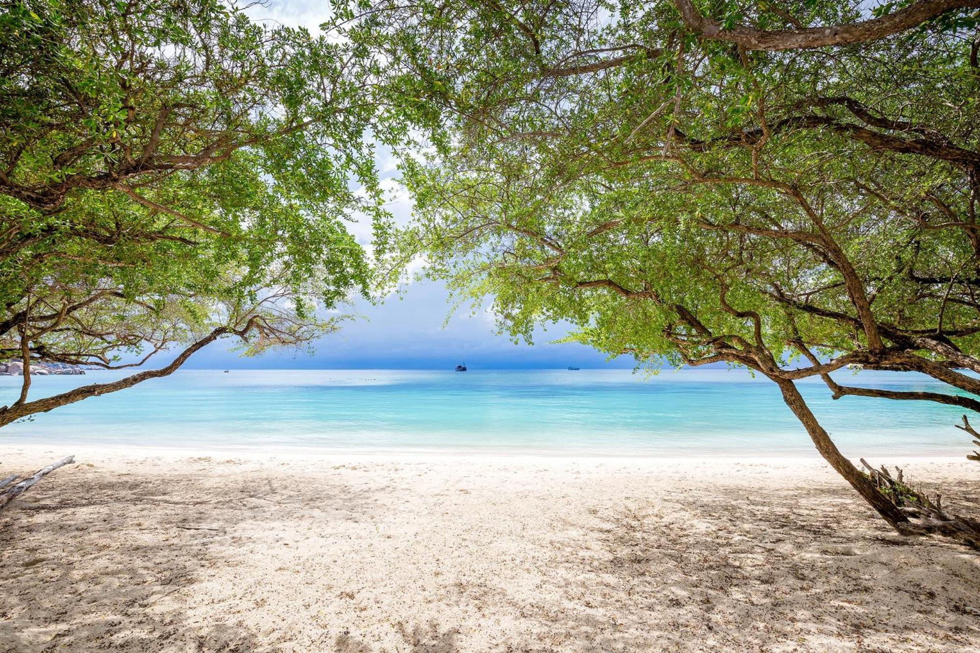 Beach Club By Haadtien Ko Tao Dış mekan fotoğraf